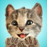 Little Litten My Favorite Cat
